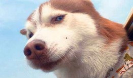 圈内爆料二哈小说百度云,二哈小说百度云独家揭秘