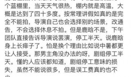 娱乐吃瓜君耍大牌小说,揭秘耍大牌背后的真相与笑料