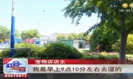 西安花园爆料案件最新,真相渐明，疑云散去