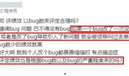 程序员爆料视频,揭秘软件开发的背后真相