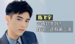 陈飞宇爆料者回应视频,揭秘背后真相与争议