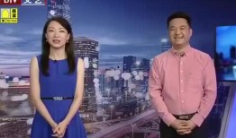 叶藏直播爆料最新消息视频,最新消息视频深度解析