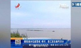 大河爆料新闻最新消息,最新热点事件深度解析