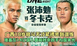 拳 交在线观看,热血对决，激情四溢的虚拟拳击盛宴