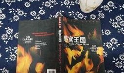 感官王国 在线观看,一场视觉与听觉的奇幻之旅