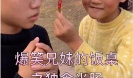 饭桌爆料搞笑视频,搞笑视频揭秘餐桌趣事