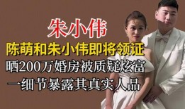 陈萌和朱小伟爆料视频,事件背后惊人真相