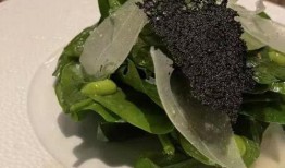 青菜爆料视频大全集最新,揭秘娱乐圈幕后真相