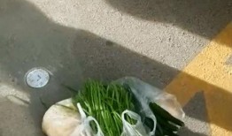 青菜爆料视频大全集最新,揭秘娱乐圈幕后真相