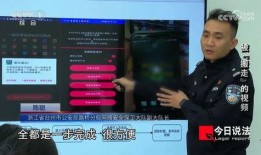 程序员爆料视频,揭秘软件开发的背后真相