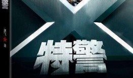 x特警在线观看,在线激战，揭秘特工世界