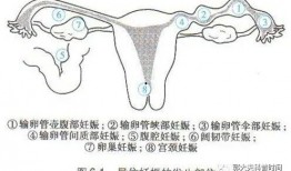 深圳宫外孕爆料新闻,生死时速，守护生命防线