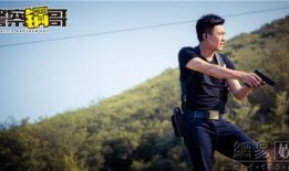 警察锅哥在线观看,在线观看，揭秘警界风云