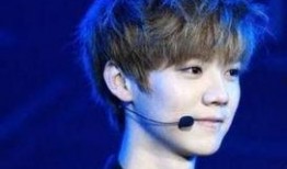 鹿晗评价美食爆料视频,一场味蕾与视觉的盛宴