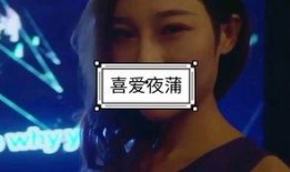 喜爱夜浦4在线观看全集