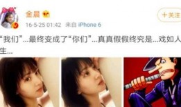 圈内爆料刘弈畅视频完整版,圈内爆料背后的真相与细节