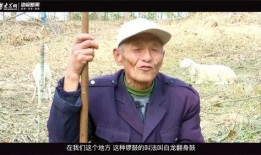 新黄河新闻爆料视频,视频揭露惊人内幕