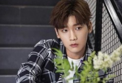 郑棋元最新恋情爆料视频,甜蜜互动引网友热议