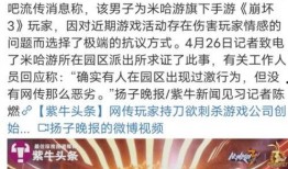 新闻报道米哈游爆料,神秘新游戏即将亮相，引领游戏界新潮流