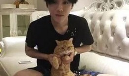 鹿晗评价美食爆料视频,一场味蕾与视觉的盛宴