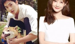 张雨绮郑爽最新八卦爆料,情感纠葛与事业风波再掀波澜