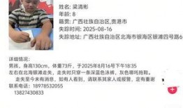 辽宁男孩爆料新闻报道,揭开校园霸凌事件真相