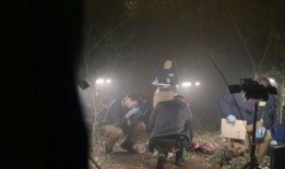 目击者美剧在线观看,揭秘真实事件背后的真相