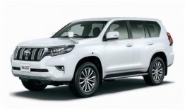 最新普拉多爆料视频大全