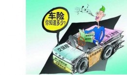 保险爆料类型的视频,深度解析各类爆料视频