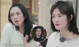 王菲父亲爆料视频最新版,揭秘天后成长背后的故事