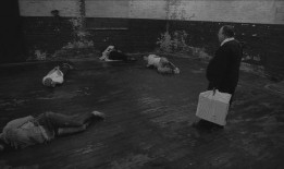 人体蜈蚣手机在线观看,惊悚悬疑，手机在线观看，揭秘人体极限