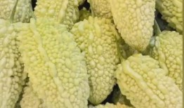 吃五月瓜视频大全集免费观看,免费畅享美味时光