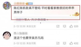 陈飞宇爆料者回应视频,揭秘背后真相与争议