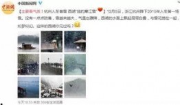 8楼爆料是真的吗吗视频,真相究竟如何？