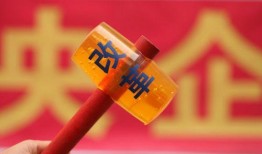 瑞金卿卿爆料最新消息