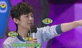 谢娜爆料何炅视频,谢娜爆料背后故事引热议