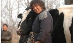 斗牛 黄渤在线观看,热血沸腾的激情对决