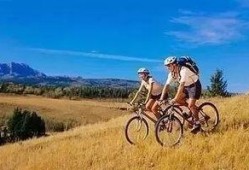 骑行圈内幕爆料