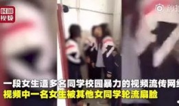 秃崽被爆料视频,揭秘背后惊人真相
