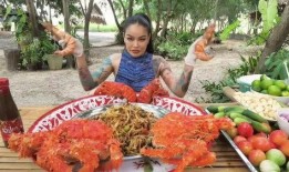 爆料美食主播视频大全最新,带你领略舌尖上的潮流盛宴