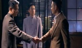 电视剧潜伏在黎明之前在线观看,谍影重重，暗战风云